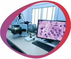 Digital Pathology